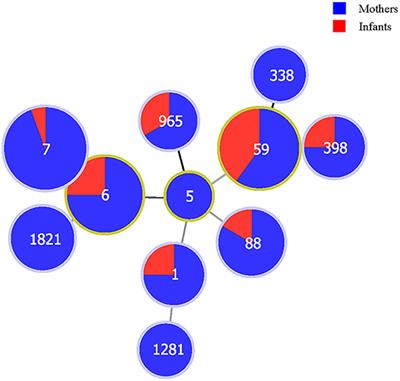 Maternal-Infant Correlation of Multidrug-Resistant Staphylococcus aureus Carriage: A Prospective Cohort Study